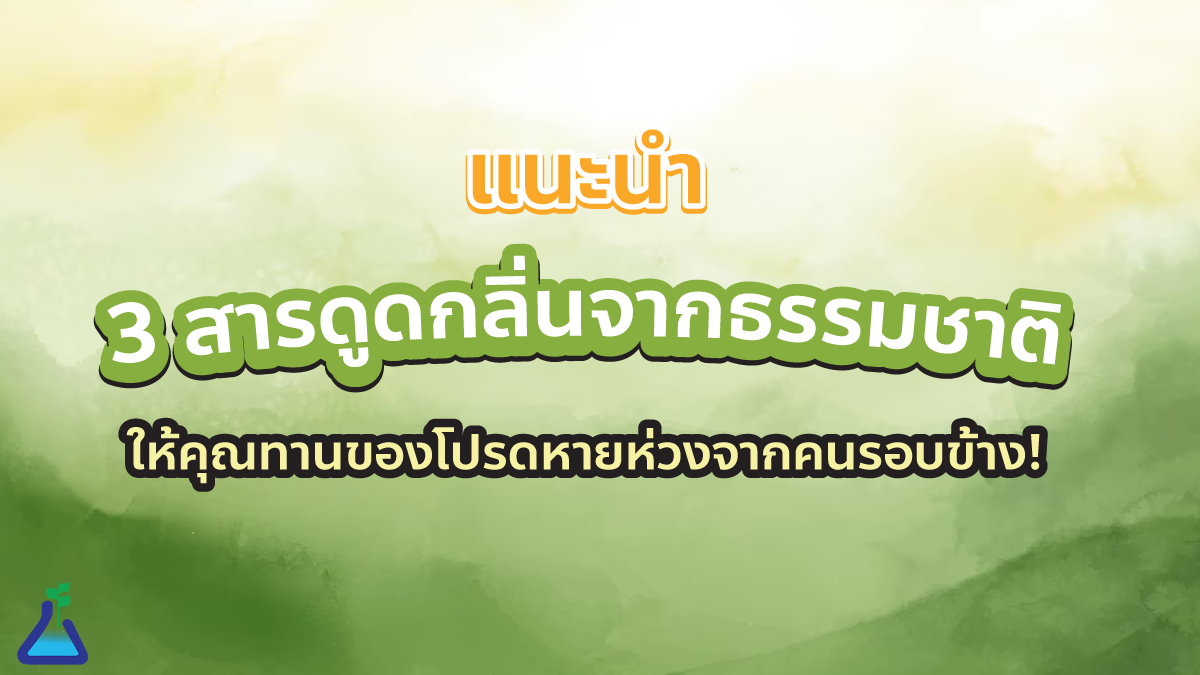 แนะนำ 3 สารดูดกลิ่นจากธรรมชาติ ให้คุณทานของโปรดหายห่วงจากคนรอบข้าง!