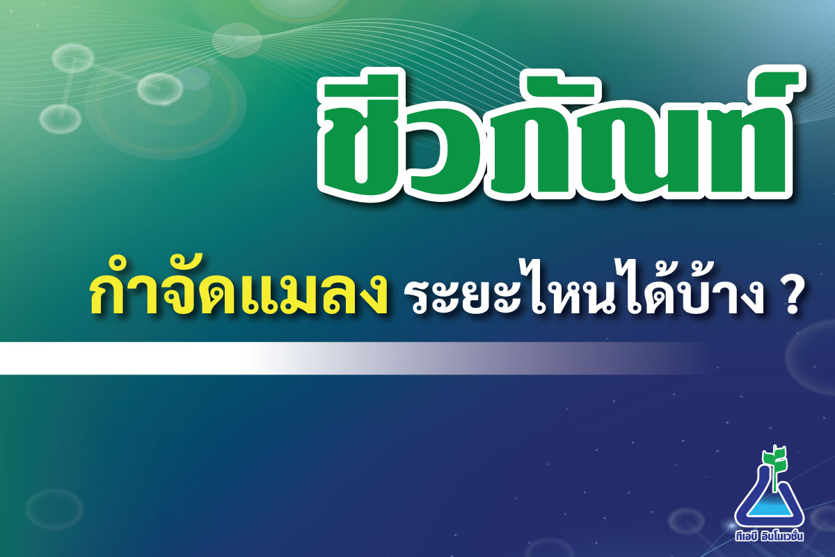 ชีวภัณฑ์กำจัดแมลงระยะไหนได้บ้าง ?