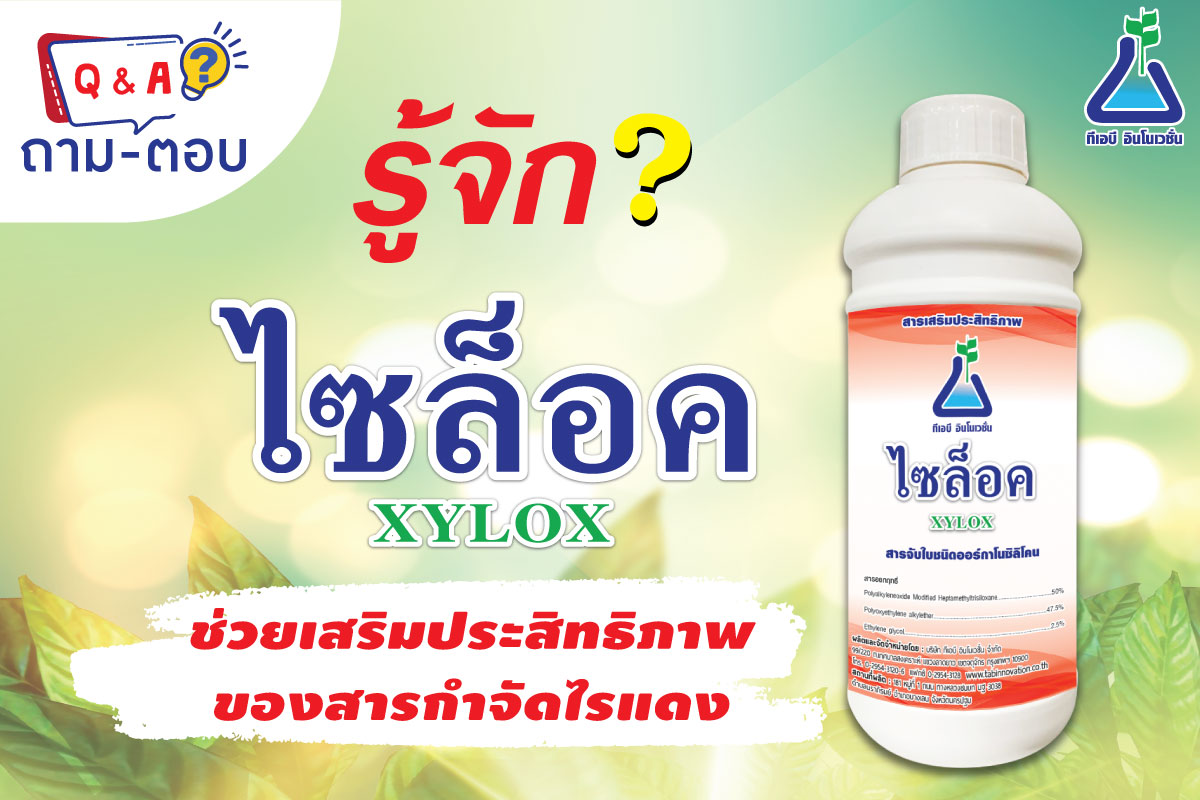 คำถาม-ตอบ ไซล็อค (XYLOX)