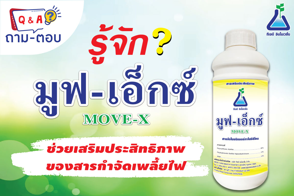 ถาม-ตอบ มูฟ-เอ็กซ์ (MOVE-X)