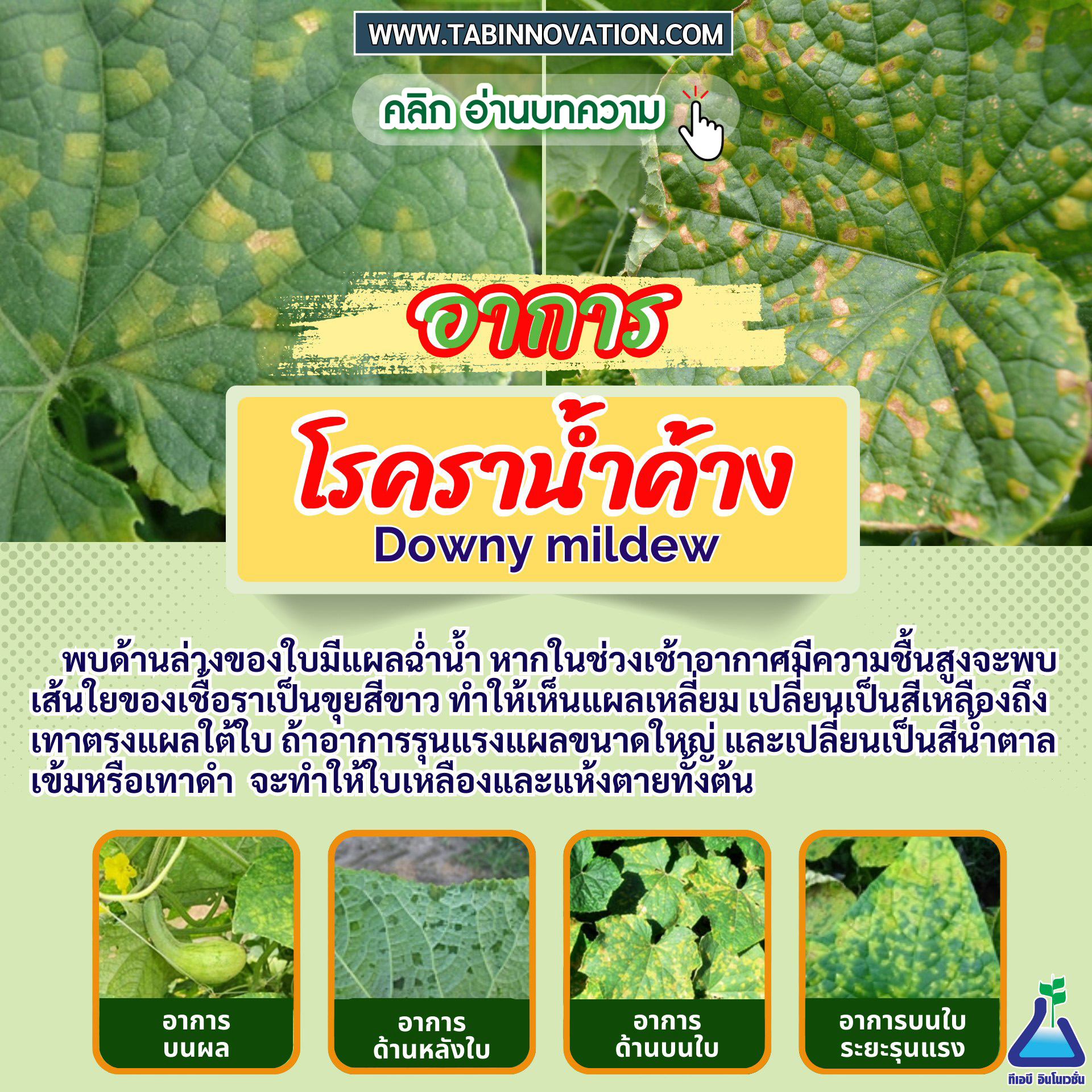 โรคราน้ำค้าง