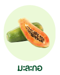 มะละกอ (Papaya)