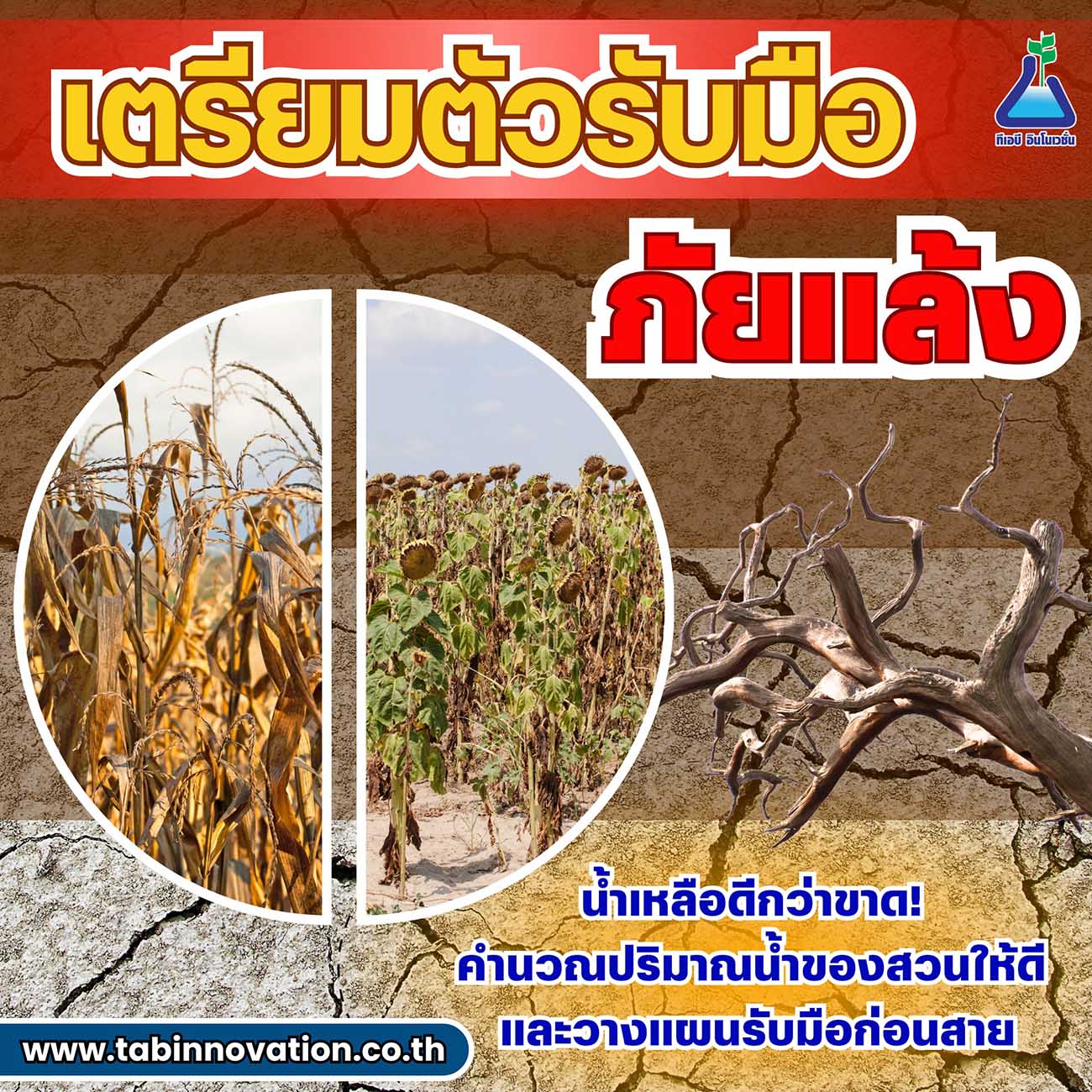 เตรียมตัวรับมือภัยแล้ง