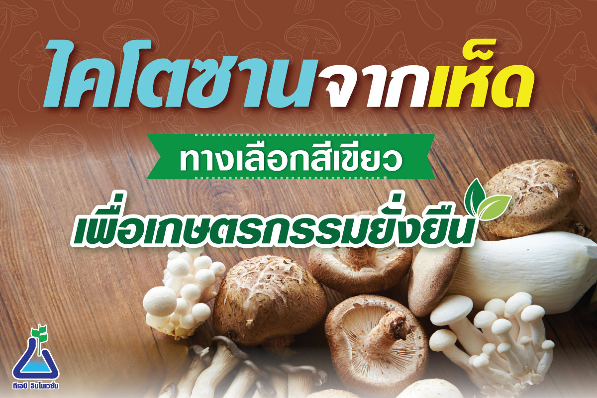 ไคโตซานจากเห็ด ทางเลือกสีเขียวเพื่อเกษตรกรรมยั่งยืน