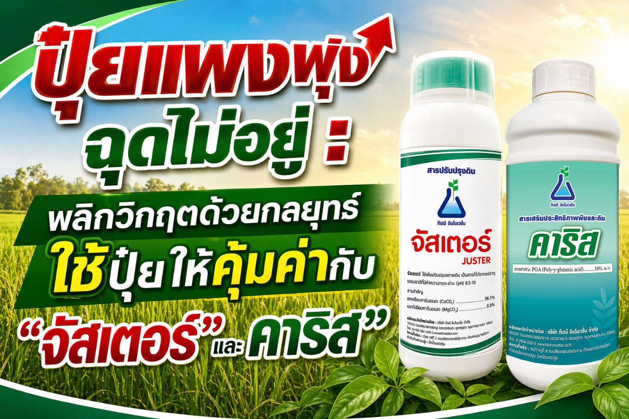 ปุ๋ยแพงพุ่งฉุดไม่อยู่ : พลิกวิกฤตด้วยกลยุทธ์ใช้ปุ๋ยให้คุ้มค่ากับ &ldquo;จัสเตอร์&rdquo; และ &ldquo;คาริส&rdquo;