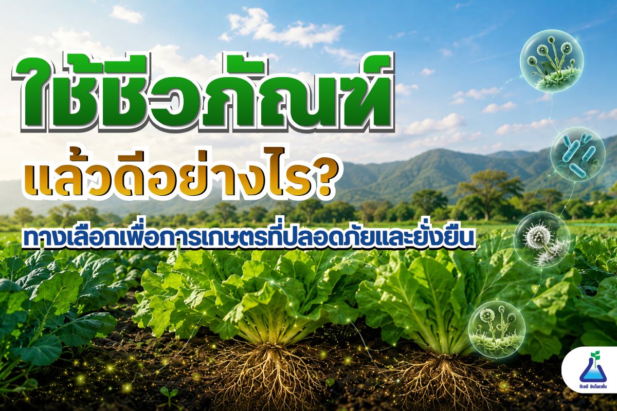 ใช้ชีวภัณฑ์แล้วดีอย่างไร? ทางเลือกเพื่อการเกษตรที่ปลอดภัยและยั่งยืน