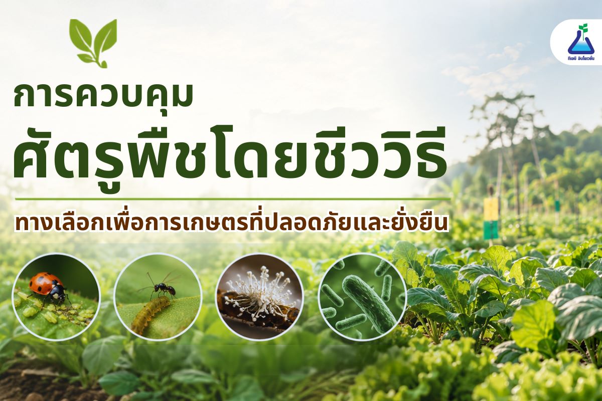การควบคุมศัตรูพืชโดยชีววิธี ทางเลือกเพื่อการเกษตรที่ปลอดภัยและยั่งยืน