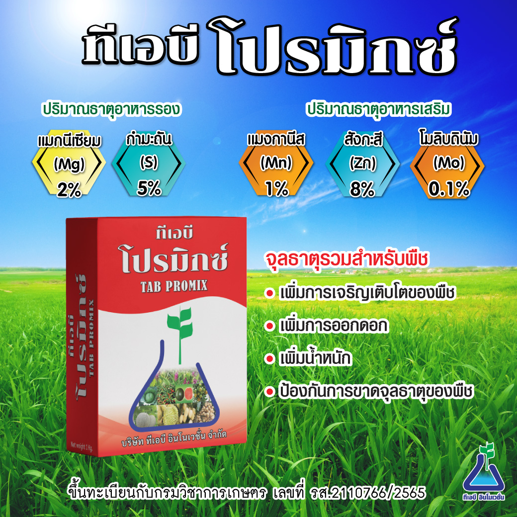 โปรมิกซ์