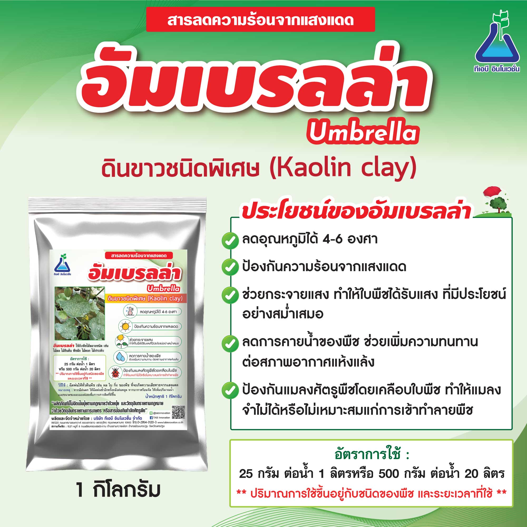 อัมเบรลล่า(Umbrella)