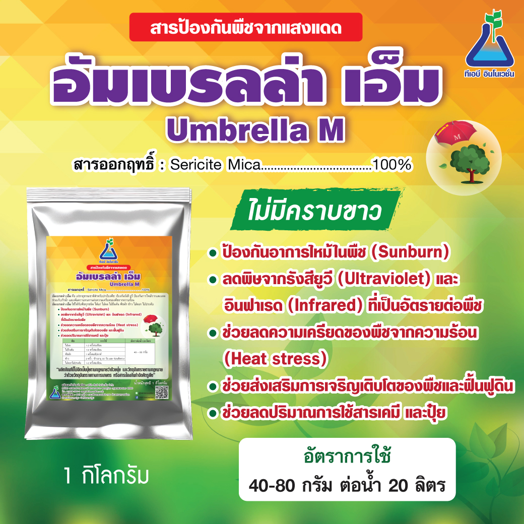 อัมเบรลล่า-เอ็ม (Umbrella-M)