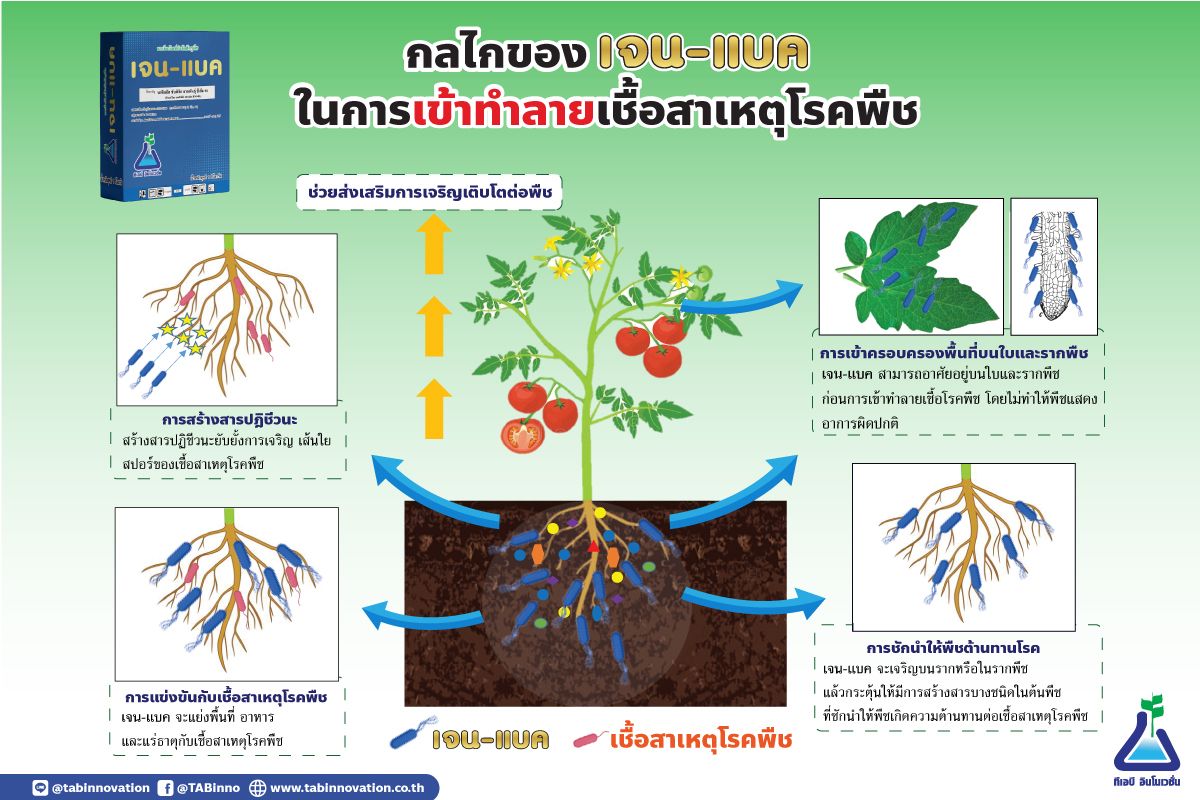 กลไกเจน-แบค